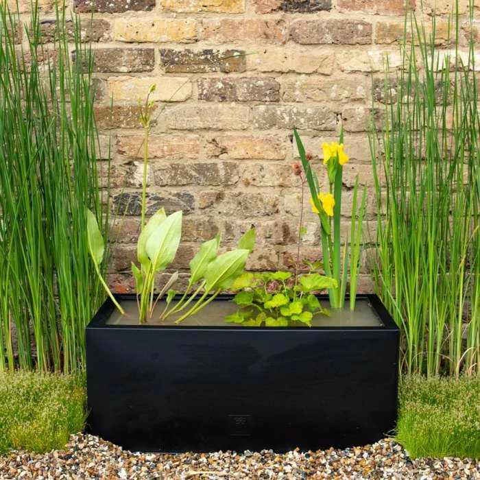 H24cm Pond-In-A-Trough Black Wildlife-Friendly Zinc Planter 4 H24cm Pond-In-A-Trough Black Wildlife-Friendly Zinc Planter - Image 2