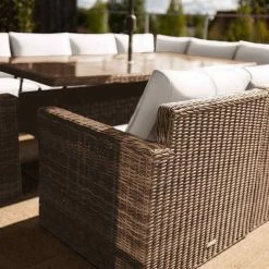 Plants outlet store -Plants outlet store fu102434 1 SofaBack 10c6